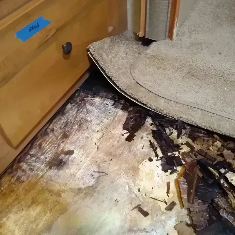 Wood Floor Water Damage in Isle of Wight County, VA